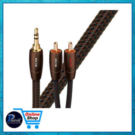 สายสัญญาณอนาล็อก AUDIOQUEST : BIG SUR (MINI TO RCA) (1.0M)_2